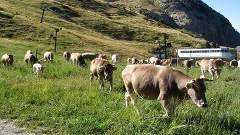Cerler, Spanish Pyrenees:  2004